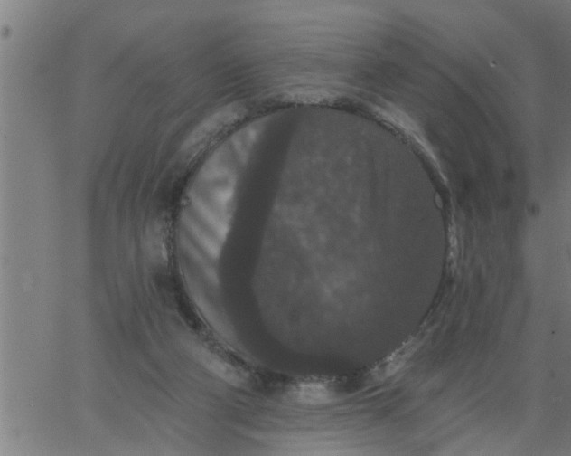 X0000066530114200603311830