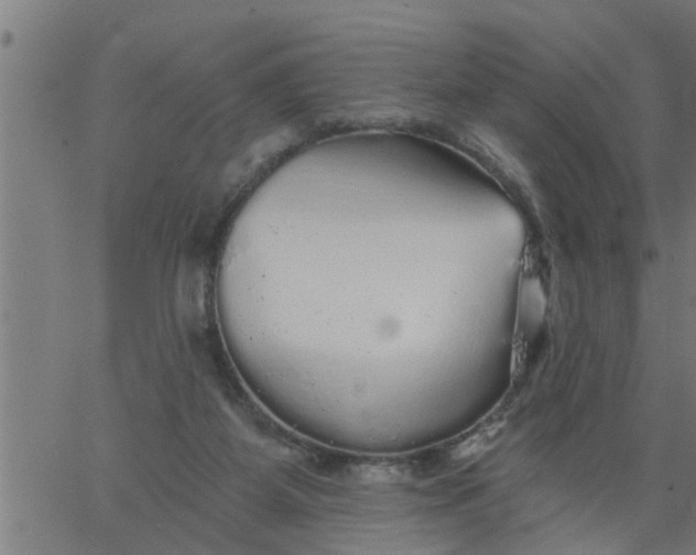 X0000066530115200603311830