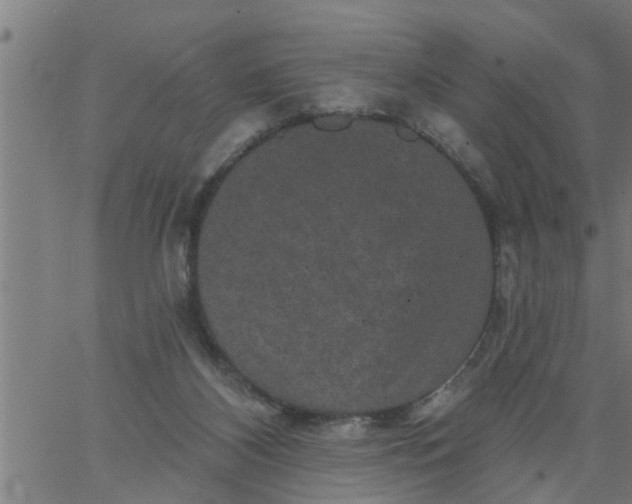 X0000066530116200603311830