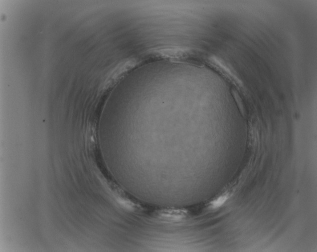 X0000066530117200603311830