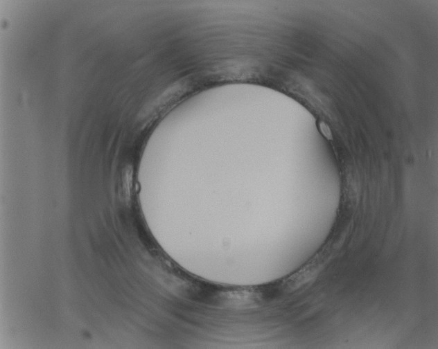 X0000066530118200603311830