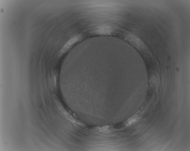 X0000066530120200603311830