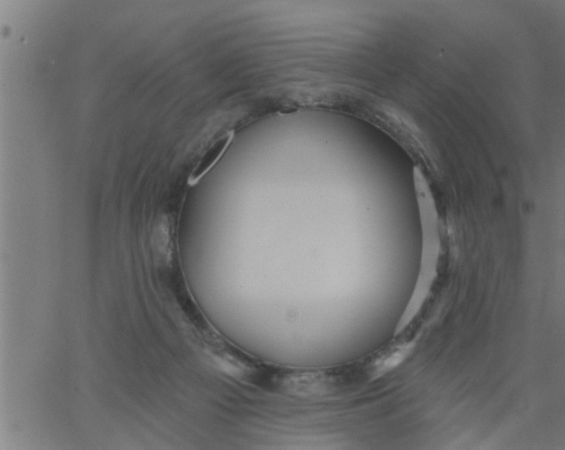 X0000066530121200603311830