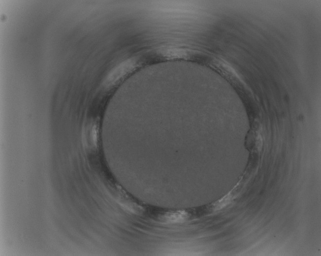 X0000066530124200603311830