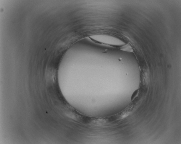 X0000066530125200603311830