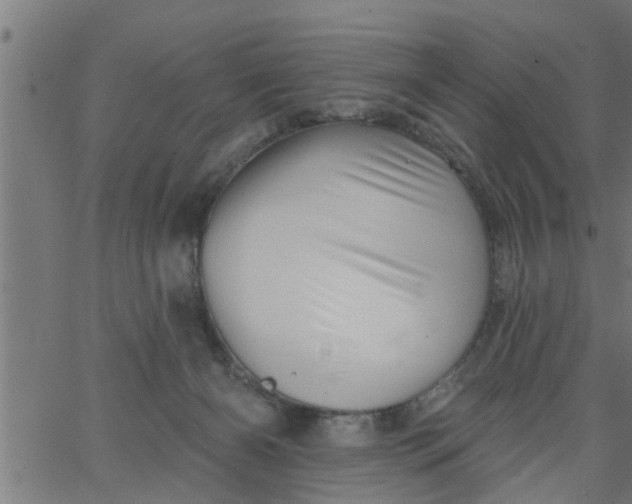 X0000066530126200603311829