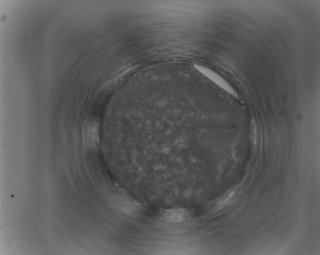 X0000066530127200603311829