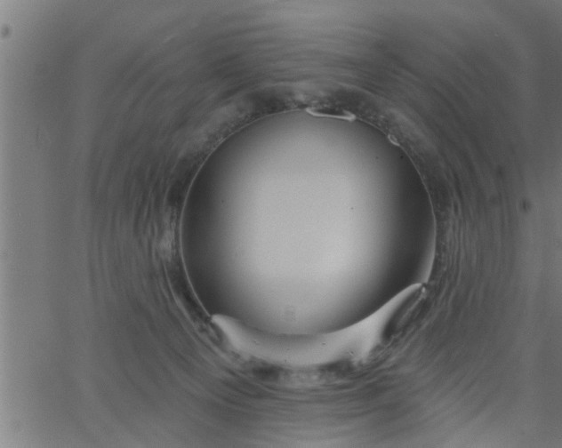 X0000066530129200603311829