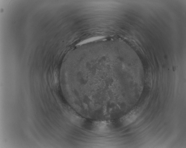 X0000066530131200603311829