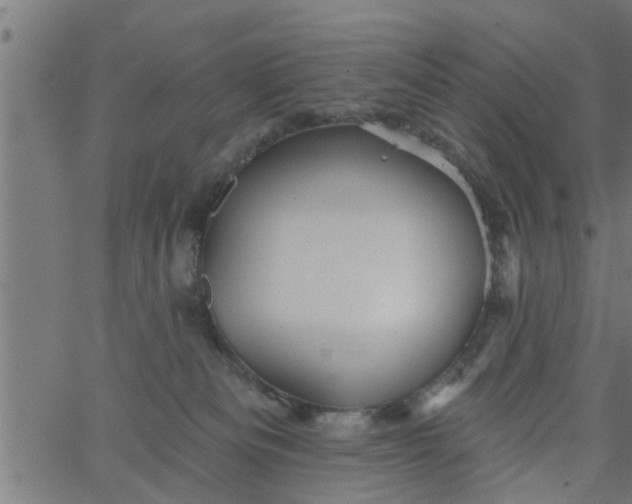 X0000066530133200603311829