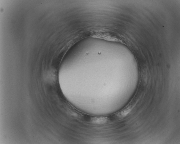 X0000066530135200603311829