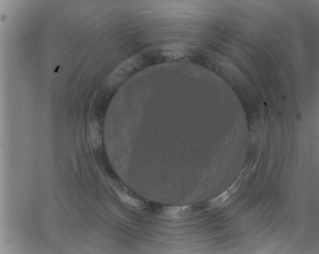 X0000066530136200603311829