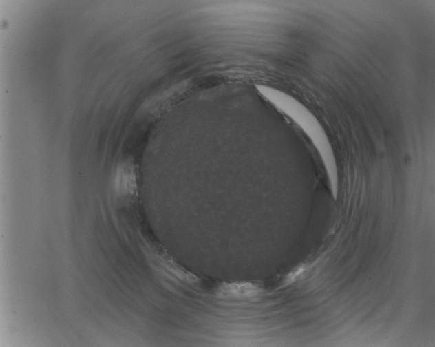 X0000066530137200603311829