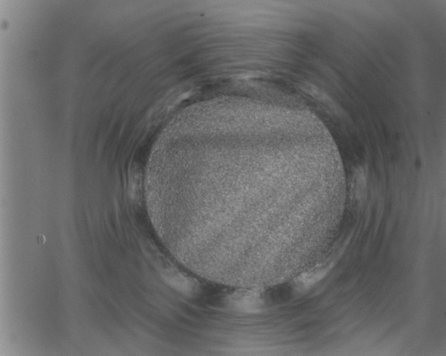 X0000066530138200603311829