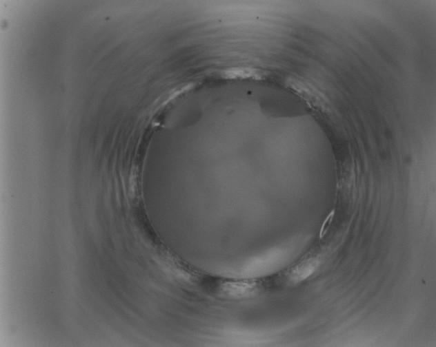 X0000066530139200603311829