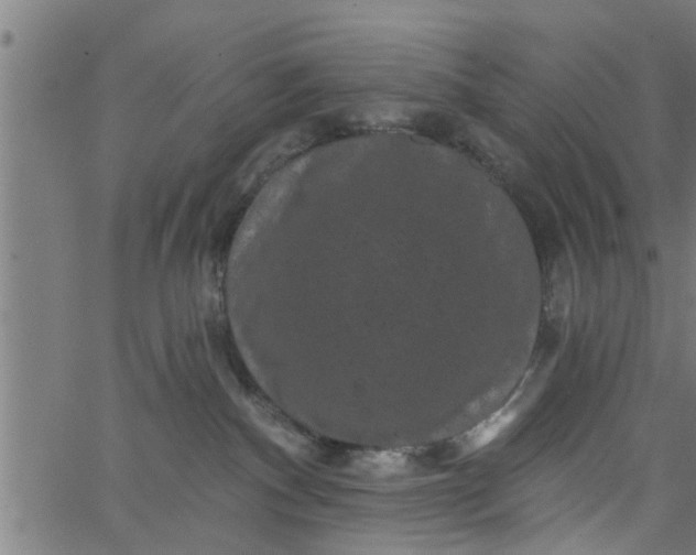 X0000066530140200603311829