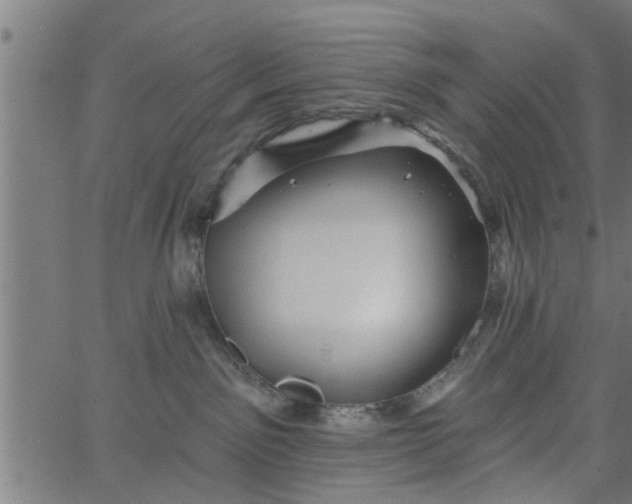 X0000066530141200603311829