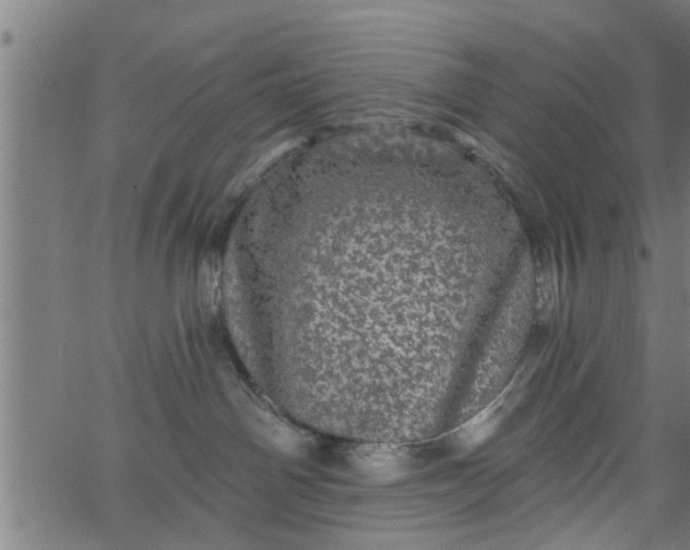 X0000066530142200603311829