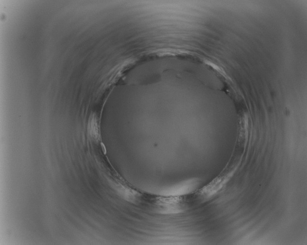 X0000066530143200603311829