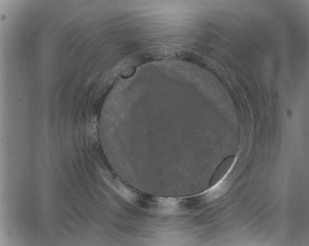 X0000066530144200603311829