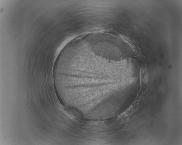 X0000066530147200603311828