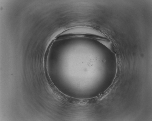 X0000066530148200603311828