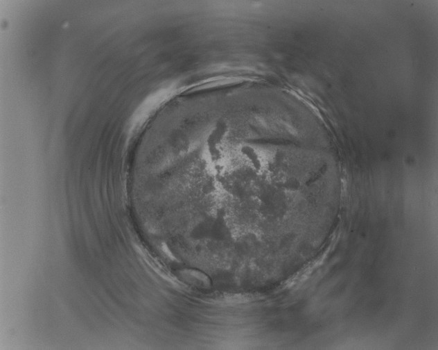 X0000066530149200603311828