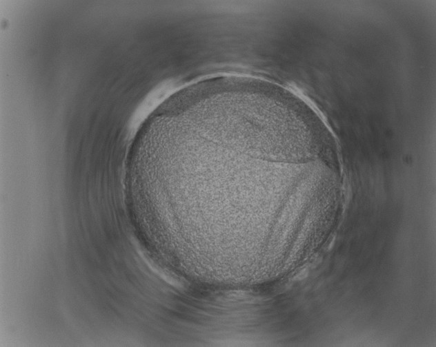 X0000066530151200603311828