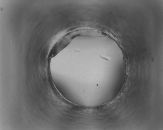 X0000066530152200603311828