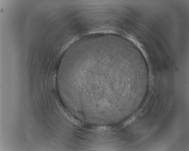 X0000066530153200603311828