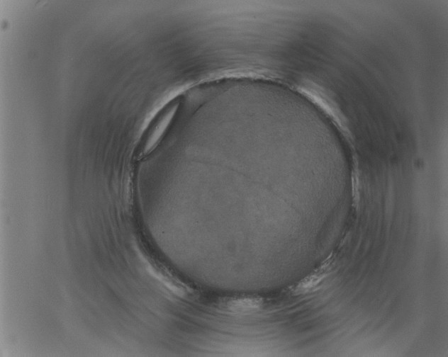 X0000066530156200603311828