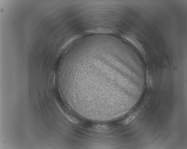 X0000066530157200603311829