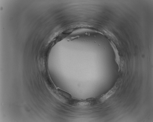 X0000066530158200603311829