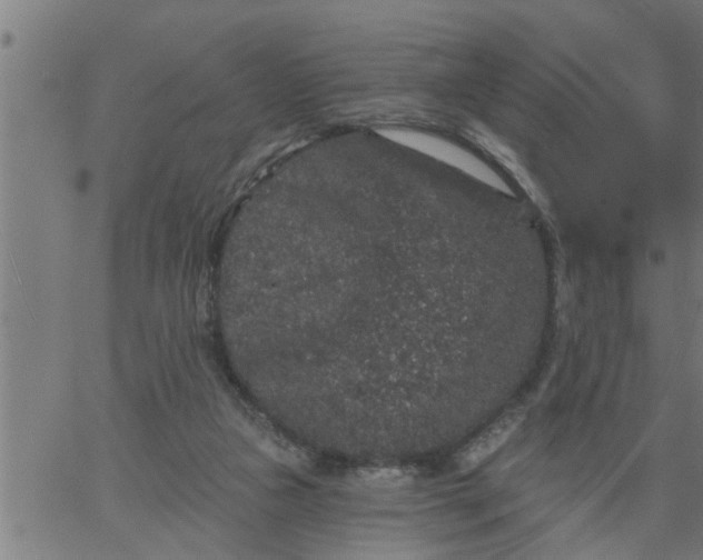 X0000066530161200603311829