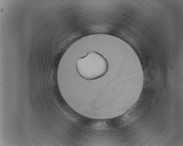 X0000066530162200603311829