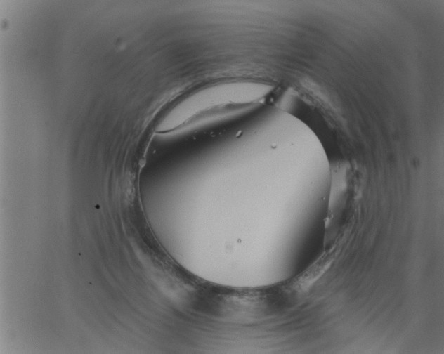 X0000066530164200603311829