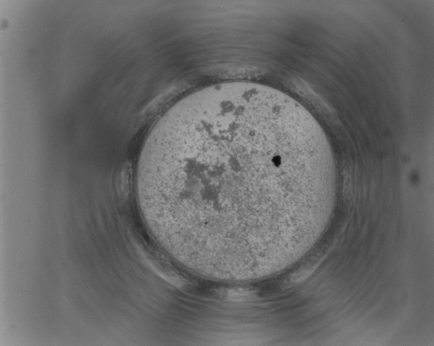 X0000066530165200603311829