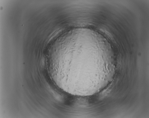 X0000066530166200603311829