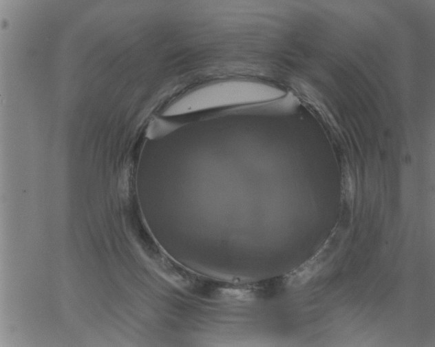 X0000066530167200603311829