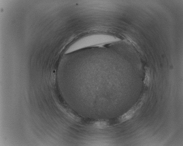 X0000066530168200603311829