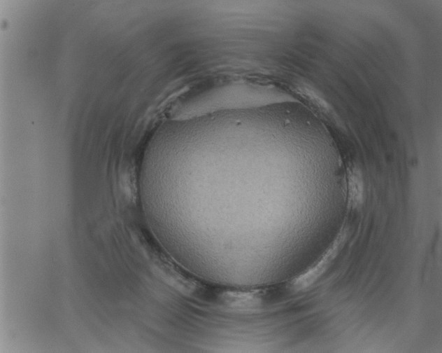 X0000066530170200603311829