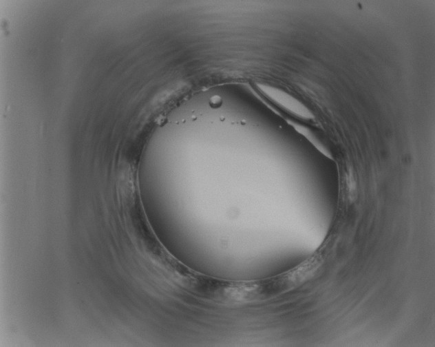 X0000066530172200603311829