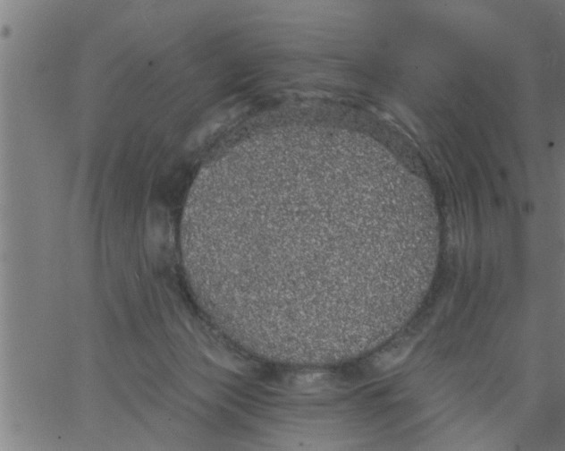 X0000066530173200603311829