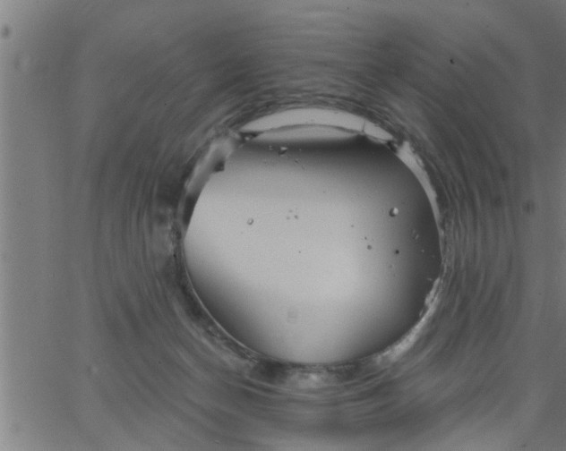 X0000066530174200603311829