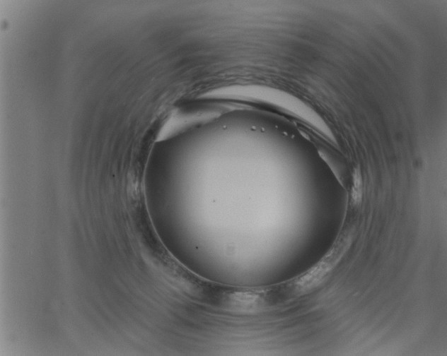 X0000066530176200603311829