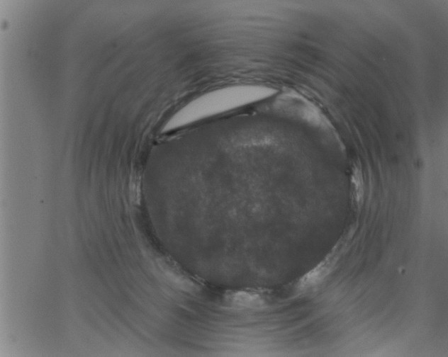 X0000066530180200603311829