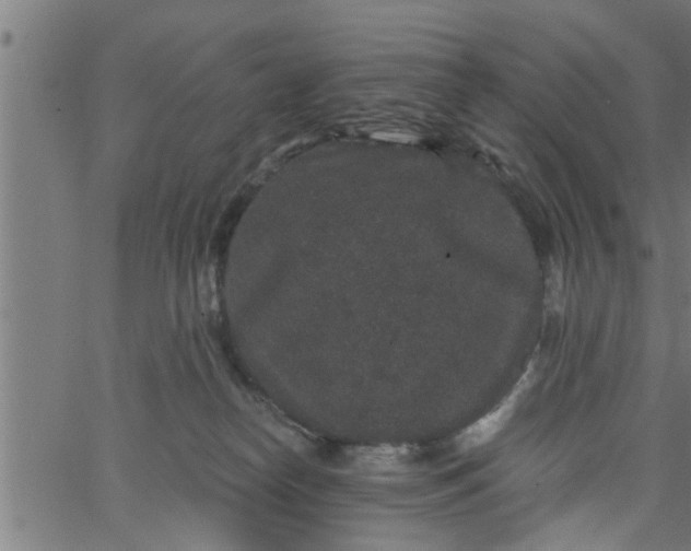 X0000066530182200603311829