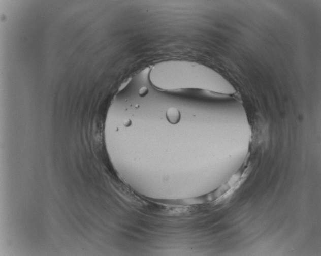 X0000066530186200603311829