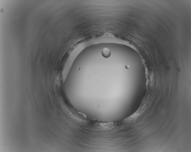 X0000066530188200603311829