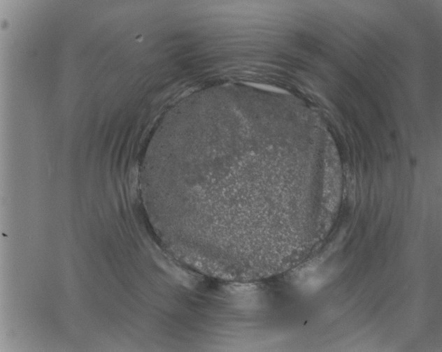 X0000066530189200603311829